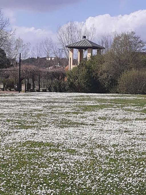Dalla Rossa Montelupo Fiorentino Dış mekan fotoğraf